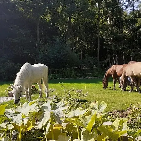 Poggenhagen Urlaub Mitten In Der Natur Neustadt am Rubenberge Exterior photo
