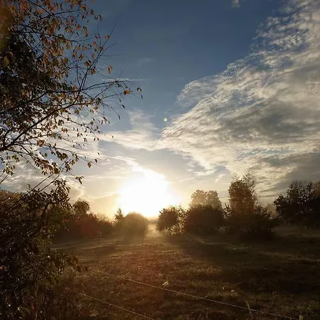 Poggenhagen Urlaub Mitten In Der Natur Neustadt am Rubenberge Exterior photo