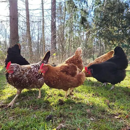 Poggenhagen Urlaub Mitten In Der Natur Neustadt am Rubenberge Exterior photo