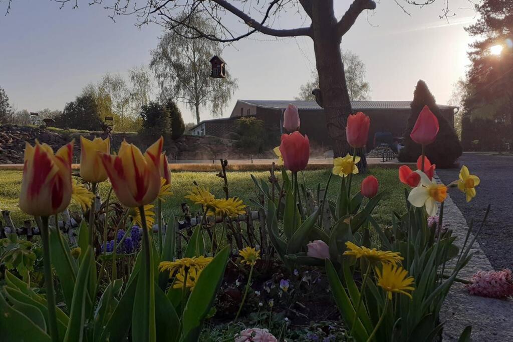 Appartement Poggenhagen Urlaub Mitten In Der Neustadt am Rübenberge